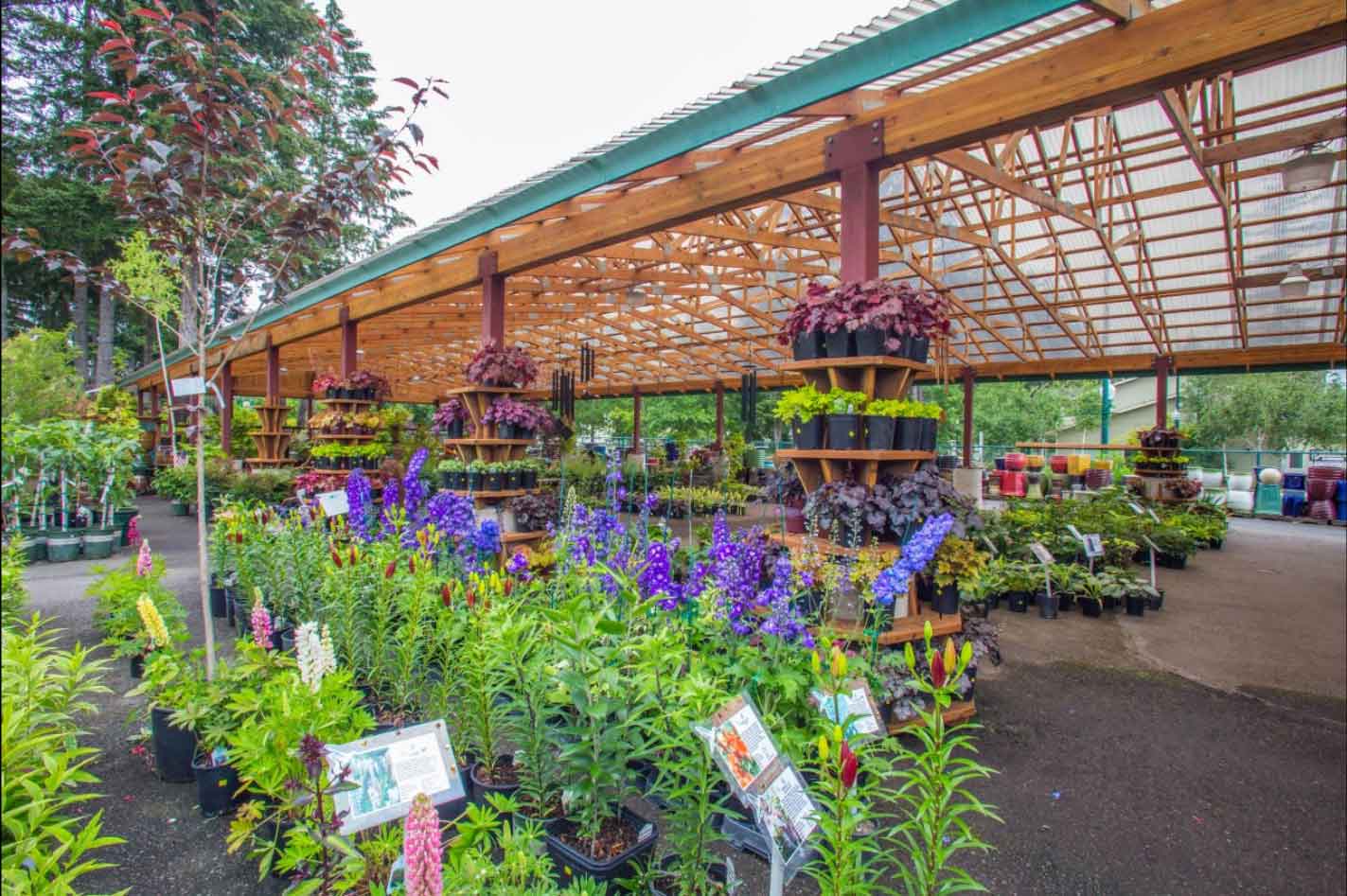Rows of pots of plants for sale at Bark and Garden Center.