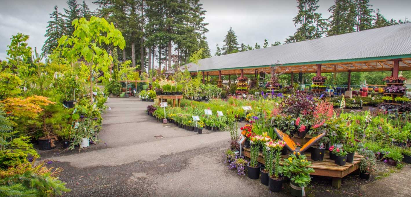 Rows of Bark and Garden Center's flowers, trees, and other plants for sale.