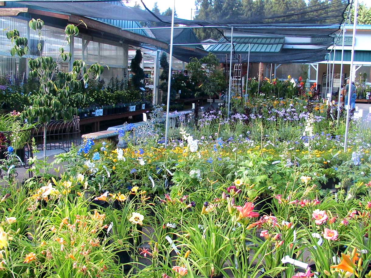 Rows and rows of perennials and other colorful plants to choose from at Bark and Garden Center.