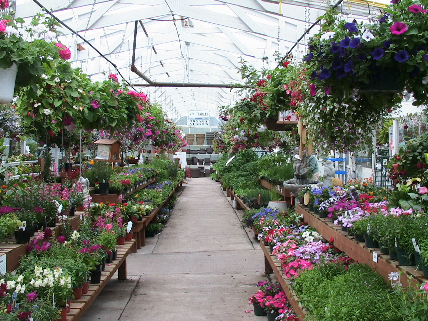 Spring Vegetables  and Annuals are in Now!